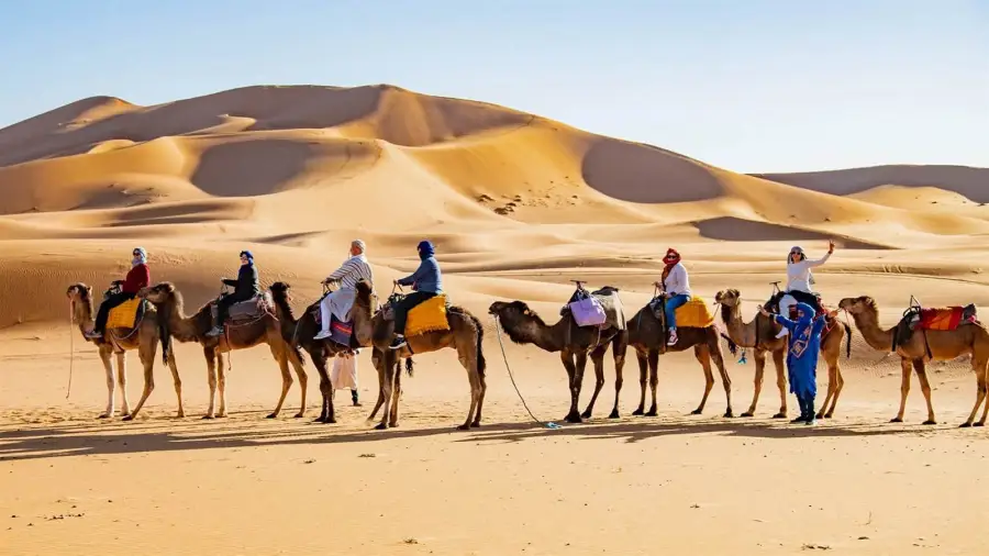 Camel caravan crossing the Erg Chebbi dunes near Merzouga, Morocco